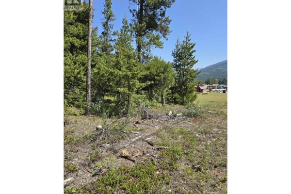 Lot 1 Pine Road, Valemount, BC, photo 3