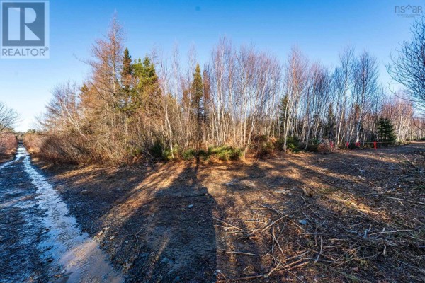 Lot 1 Porter Road, Mayflower, NS B0W2Y0 Photo 4