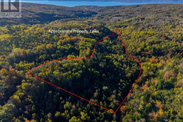 Lot 1 Power Lot Road, Guinea, NS B0S1E0 Photo 2