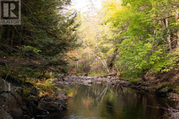 Lot 1 Power Lot Road, Guinea, NS B0S1E0 Photo 3