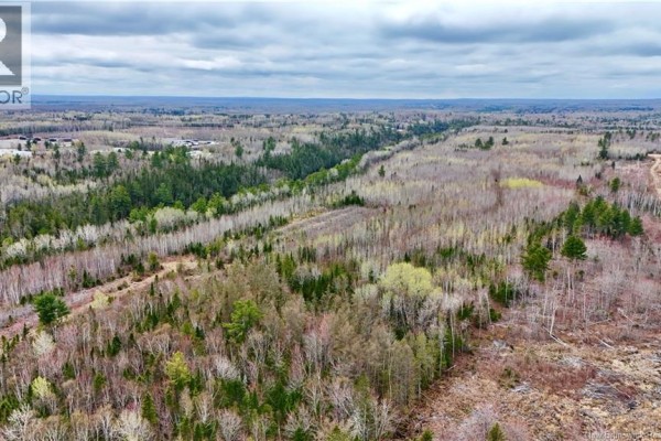 Lot 1 Route 11, Bathurst, NB E8K0A0 Photo 4