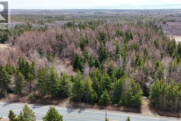 Lot 1 Route 11, Pokeshaw, NB, photo 2