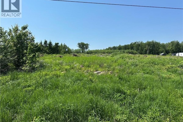 Open land with snow, scattered vegetation, and a view of the tree line in the background. - Lot 1 Route 620, Hamtown Corner