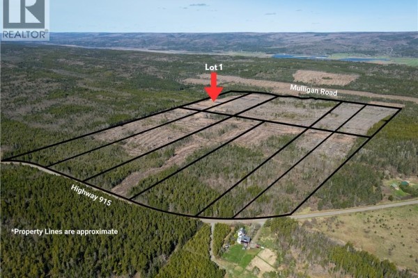 Lot 1 Route 915, Upper New Horton, NB, photo 3