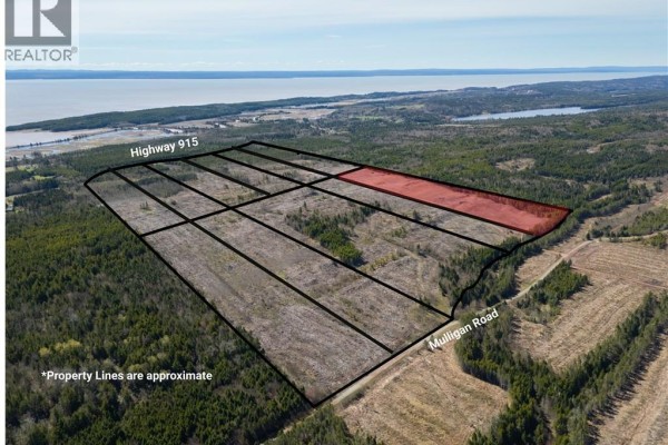 Lot 1 Route 915, Upper New Horton, NB E4H3T4 Photo 5