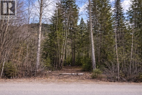 Lot 1 S Canim Lake Road, Canim Lake, BC V0K1J0 Photo 4
