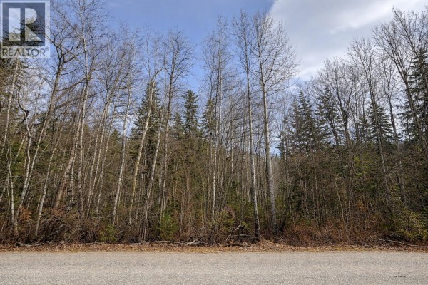 Lot 1 S Canim Lake Road, Canim Lake, BC V0K1J0 Photo 5
