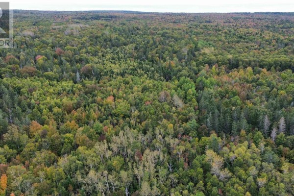 Lot 1 Seaman Street, Margaretsville, NS B0S1N0 Photo 3