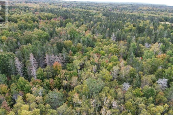 Lot 1 Seaman Street, Margaretsville, NS B0S1N0 Photo 5