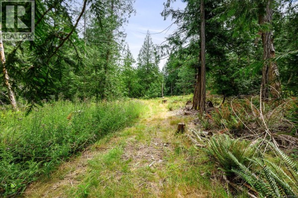 Lot 1 Sollans Rd, Hornby Island, BC V0R1Z0 Photo 4