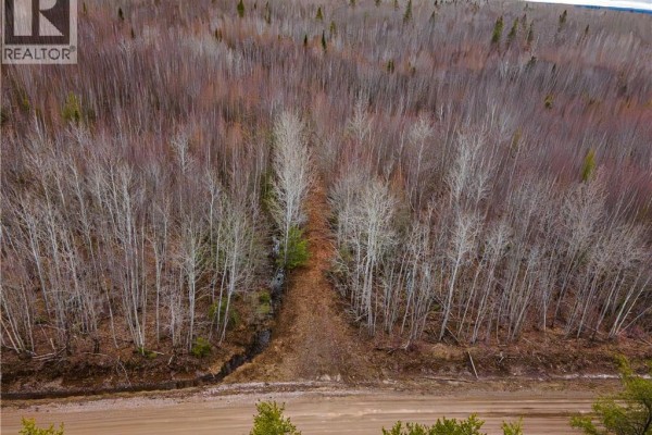 Lot 1 South Canaan Road, South Canaan, NB E4Z3R7 Photo 2