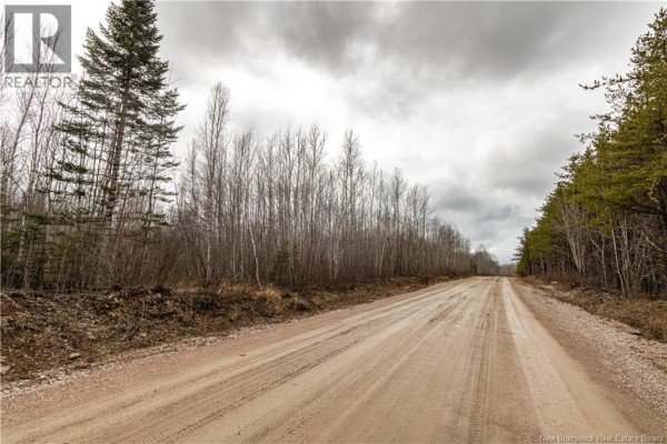 Lot 1 South Canaan Road, South Canaan, NB E4Z3R7 Photo 4