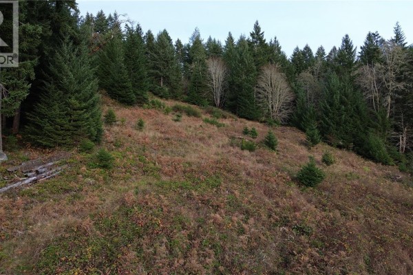 Lot 1 South Rd, Gabriola Island, BC V0R1X6 Photo 4