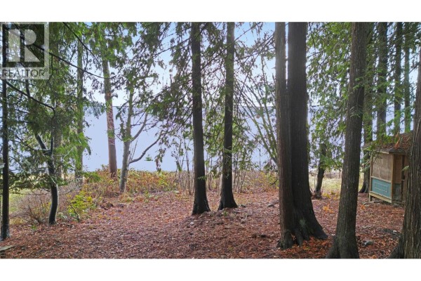 Lot 1 Squilax Anglemont Road, Anglemont, BC V0E1M8 Photo 2