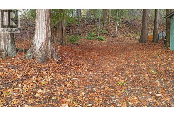 Lot 1 Squilax Anglemont Road, Anglemont, BC V0E1M8 Photo 4