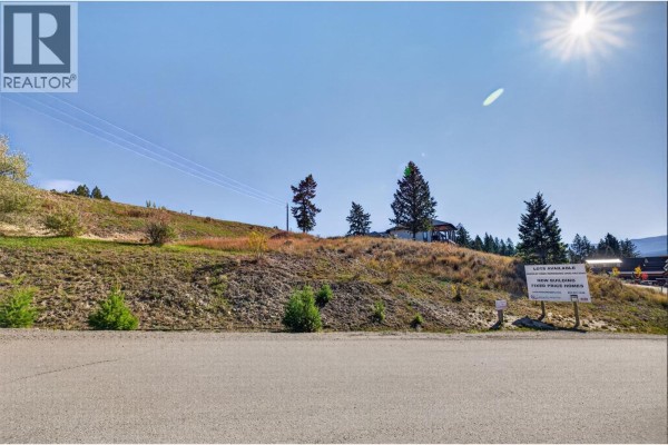 Lot 1 Stoddart Estates Drive, Windermere, BC V0B1L2 Photo 2