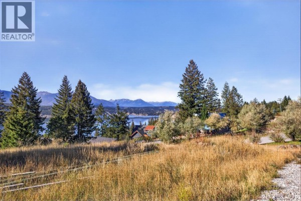 Lot 1 Stoddart Estates Drive, Windermere, BC V0B1L2 Photo 5
