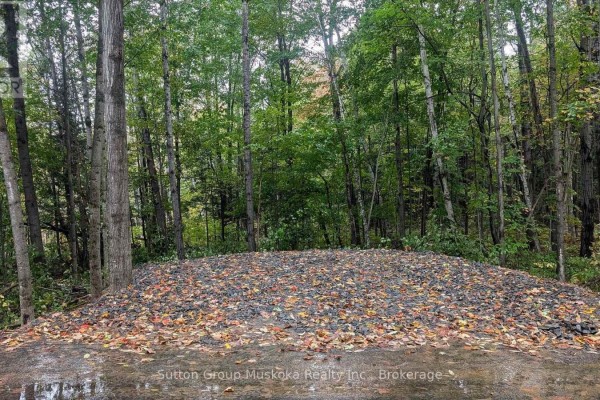 Lot 1 Tally-ho Winter Park Road, Lake Of Bays, ON, photo 2