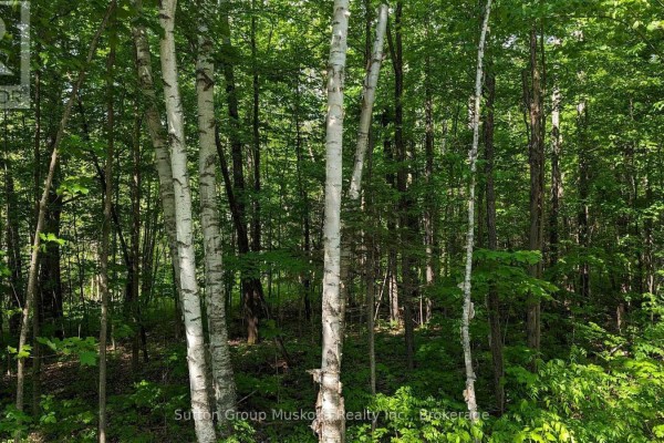 Lot 1 Tally-ho Winter Park Road, Lake Of Bays, ON, photo 3