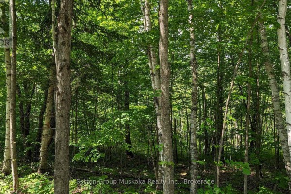 Lot 1 Tally-ho Winter Park Road, Lake Of Bays, ON P1H2E8 Photo 4