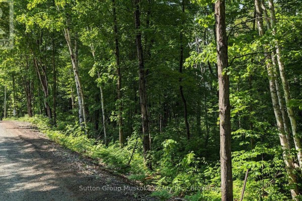 Lot 1 Tally-ho Winter Park Road, Lake Of Bays, ON P1H2E8 Photo 5