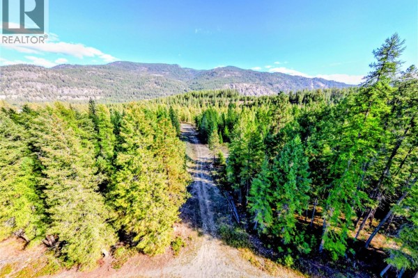 Lot 1 Thompson Road, Christina Lake, BC V0H1E0 Photo 2