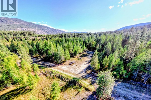 Lot 1 Thompson Road, Christina Lake, BC V0H1E0 Photo 3