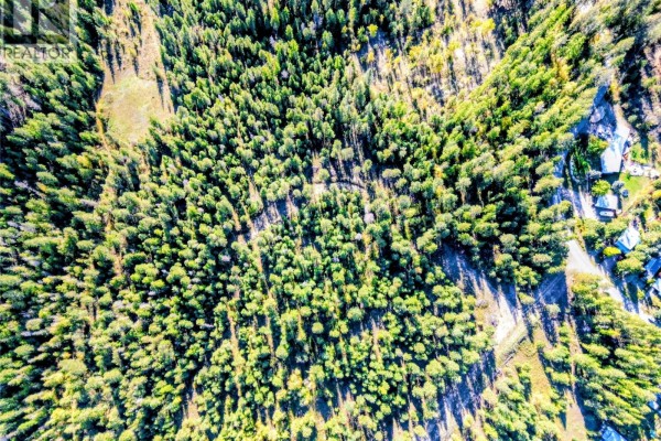Lot 1 Thompson Road, Christina Lake, BC V0H1E0 Photo 4