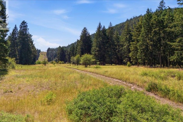 Lot 1 Westwynd Drive, Falkland, BC V0E1W0 Photo 2