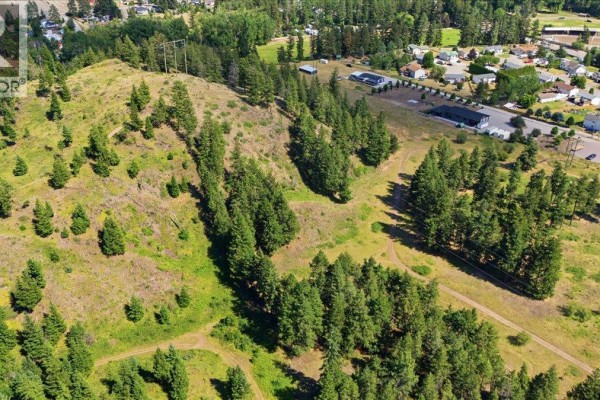 Lot 1 Westwynd Drive, Falkland, BC V0E1W0 Photo 4