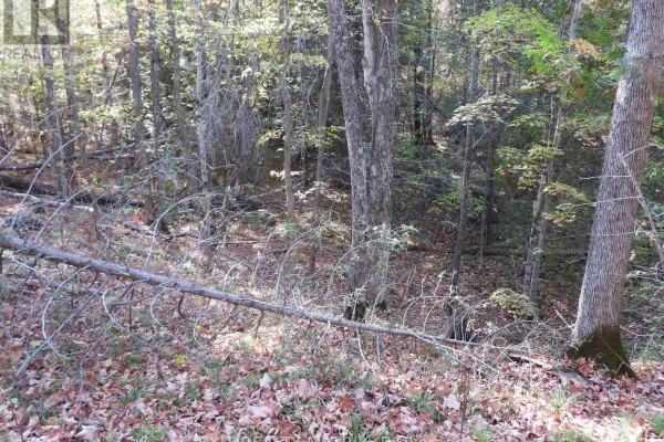 Lot 1 Woodland Park Drive, Frontenac, ON, photo 3