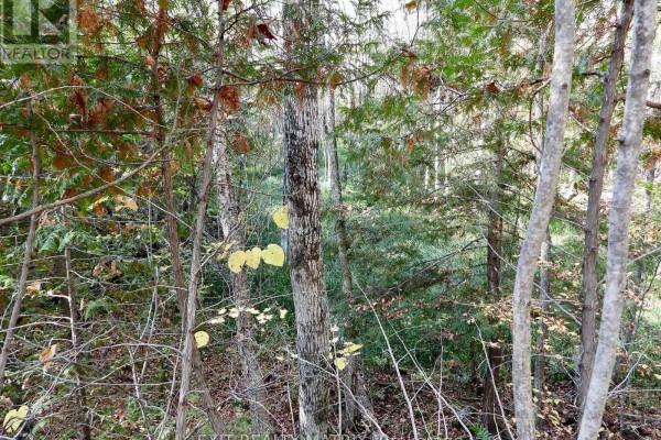 Lot 1 Woodland Park Drive, Frontenac, ON K0H1B0 Photo 5