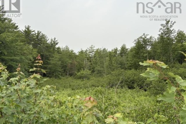 Lot 1-a Country Road, Lakeland Retreats, Labelle, NS B0T1E0 Photo 5