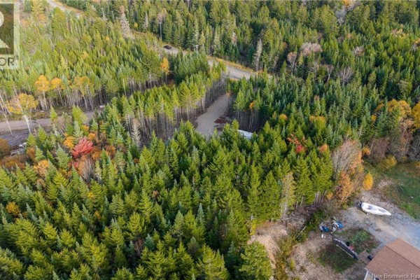 Lot 10-07 Route 790, Musquash, NB E5J2C7 Photo 5