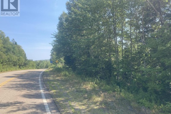 Lot 10-3 316 Highway, Country Harbour Mines, NS, photo 3