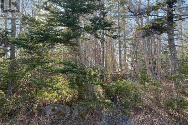 Lot 10 Eastern Shore Road, Port Medway, NS B0J2T0 Photo 4