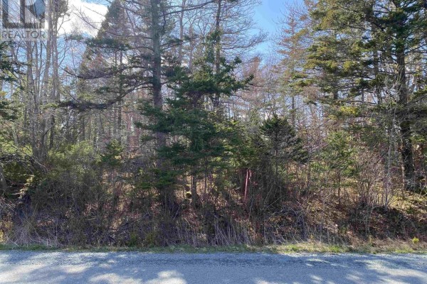 Lot 10 Eastern Shore Road, Port Medway, NS B0J2T0 Photo 5