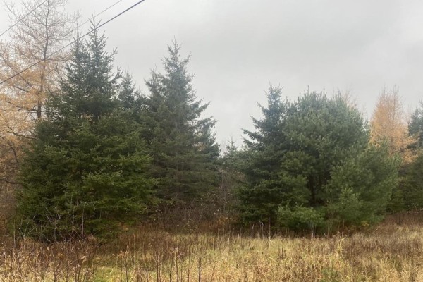 Lot 10 New Cheverie Road, Lower Burlington, NS, photo 2