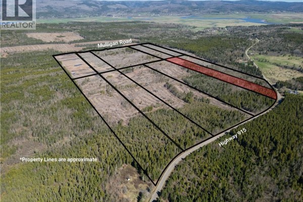 Lot 10 Route 915, Upper New Horton, NB E4H3T4 Photo 4