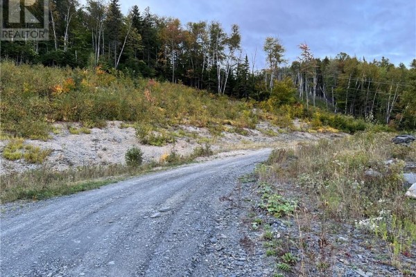 Lot 10 Rue De La Tour, Edmundston, NB E3V0G8 Photo 4