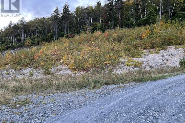 Lot 10 Rue De La Tour, Edmundston, NB E3V0G8 Photo 5