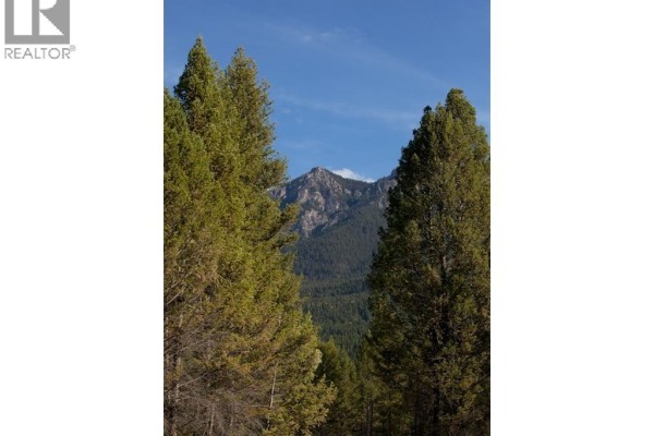 Lot 10 Saddlewood Lane, Radium Hot Springs, BC V0A1M0 Photo 4