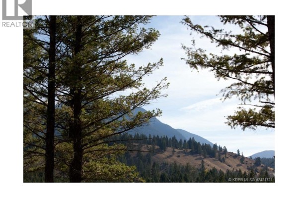 Lot 10 Saddlewood Lane, Radium Hot Springs, BC V0A1M0 Photo 5