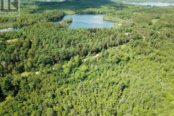 Map showing Lot 100-R and adjacent lots with acreage details. - Lot 100-r Crouses Settlement Road, Crouses Settlement