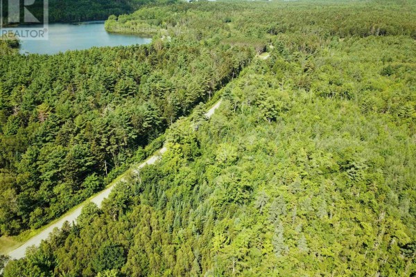 Aerial view of lush greenery with a lake in the background. - Lot 100-r Crouses Settlement Road, Crouses Settlement