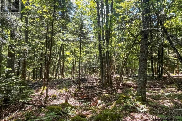 Lot 1000 Conquerall Road, Conquerall Bank, NS B0R1G0 Photo 2