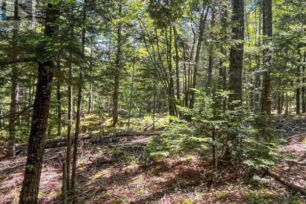 Lot 1000 Conquerall Road, Conquerall Bank, NS B0R1G0 Photo 4