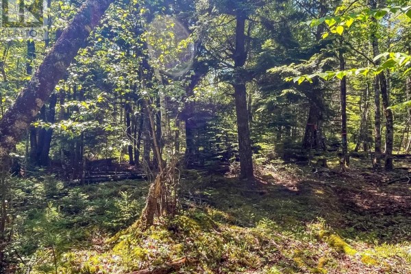 Lot 1000 Conquerall Road, Conquerall Bank, NS B0R1G0 Photo 5