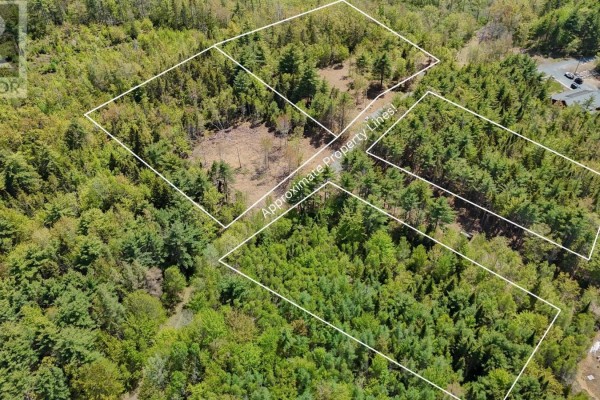 Aerial view showing four distinct wooded lots outlined in white, situated on a slight incline with a building nearby. - Lot 101 Cleversey Ridge Park, Fauxburg