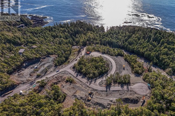 Lot 101 Sitka Pl, Ucluelet, BC V0R3A0 Photo 5